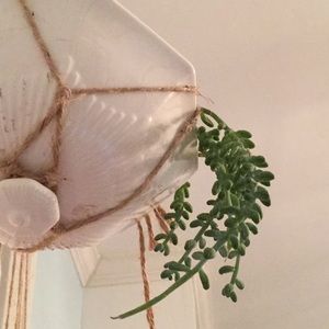 Meet your Posher, Margaret